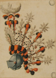 Elmo piumato